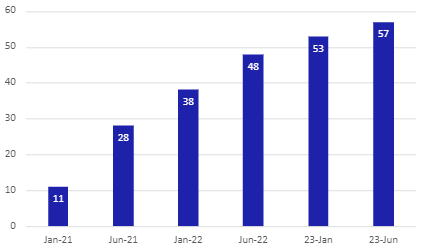 Bar chart showing the growth of entries from 11 in Jan 2021 to 57 in June 2023